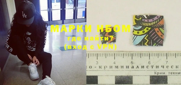 гашиш Богданович