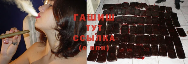 гашиш Богданович