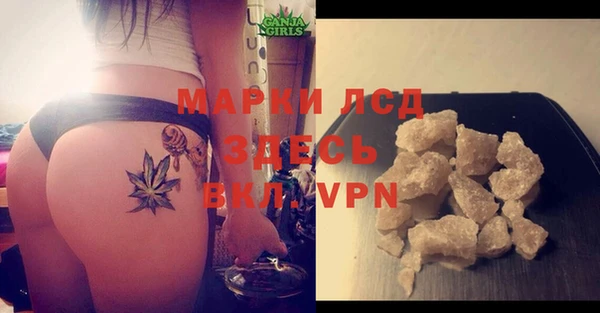 гашиш Богданович