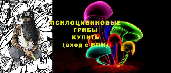 a pvp Богородицк