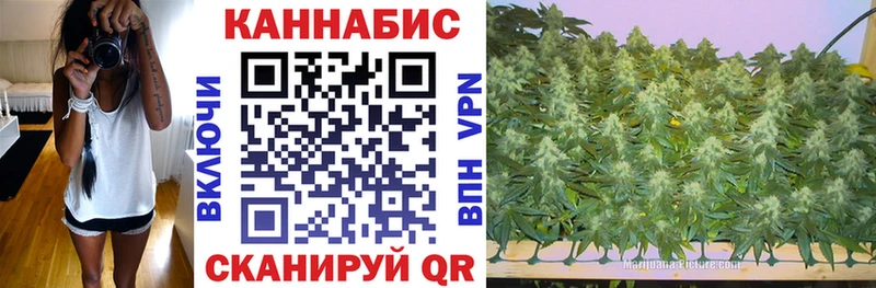 hydra ссылка  Волосово  Бошки Шишки SATIVA & INDICA 